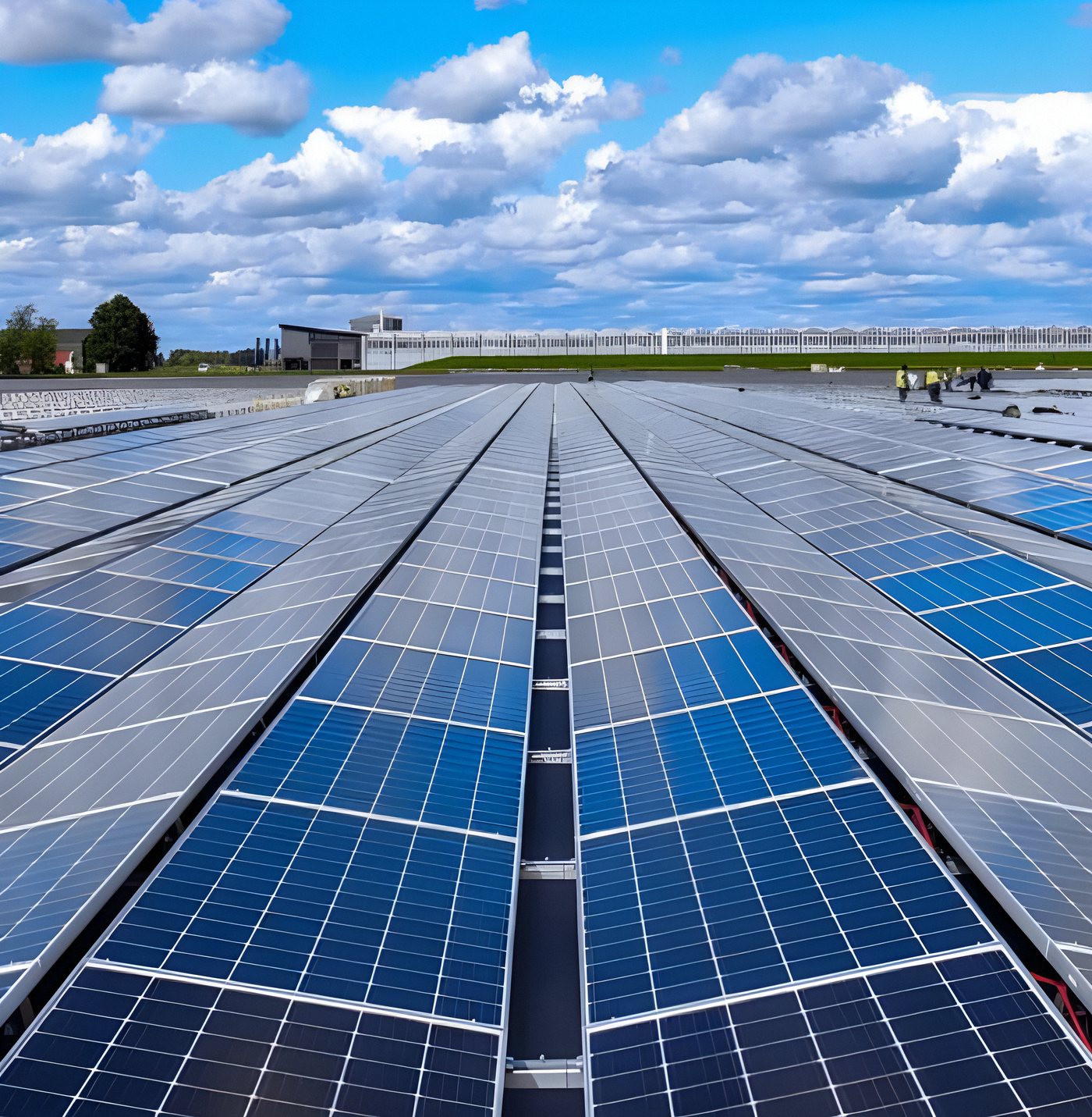 Solar farm module rows